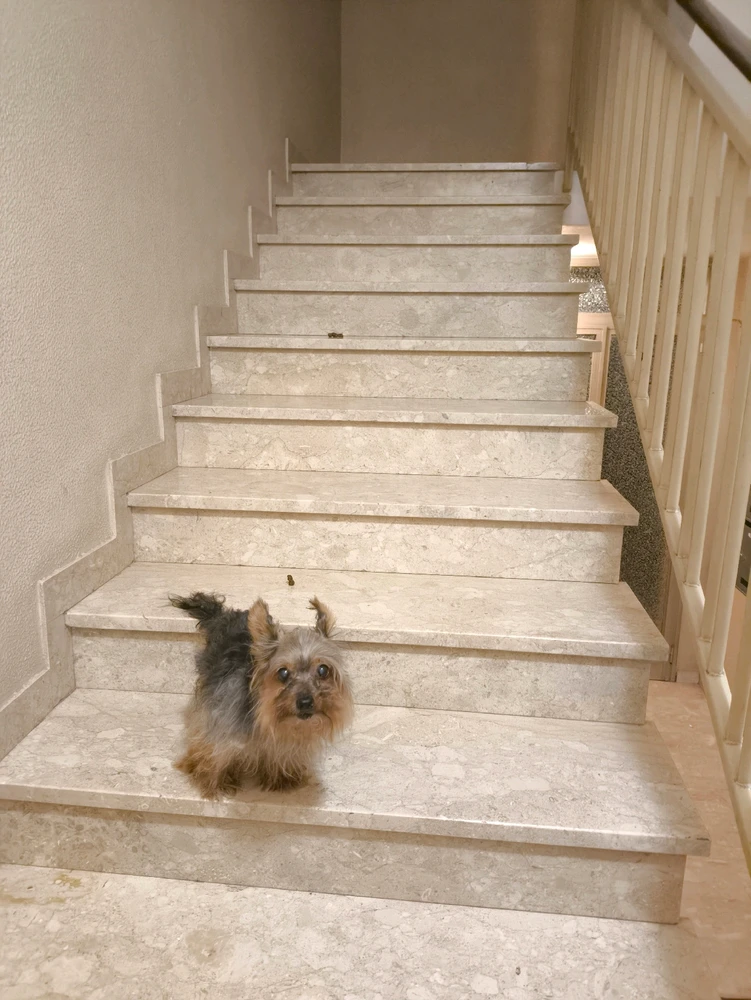 Immagine caricata da Roberto