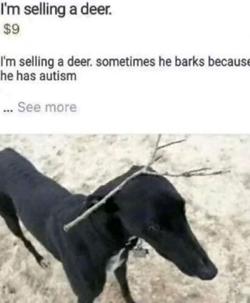 GIF uploaded by Abraham🖤