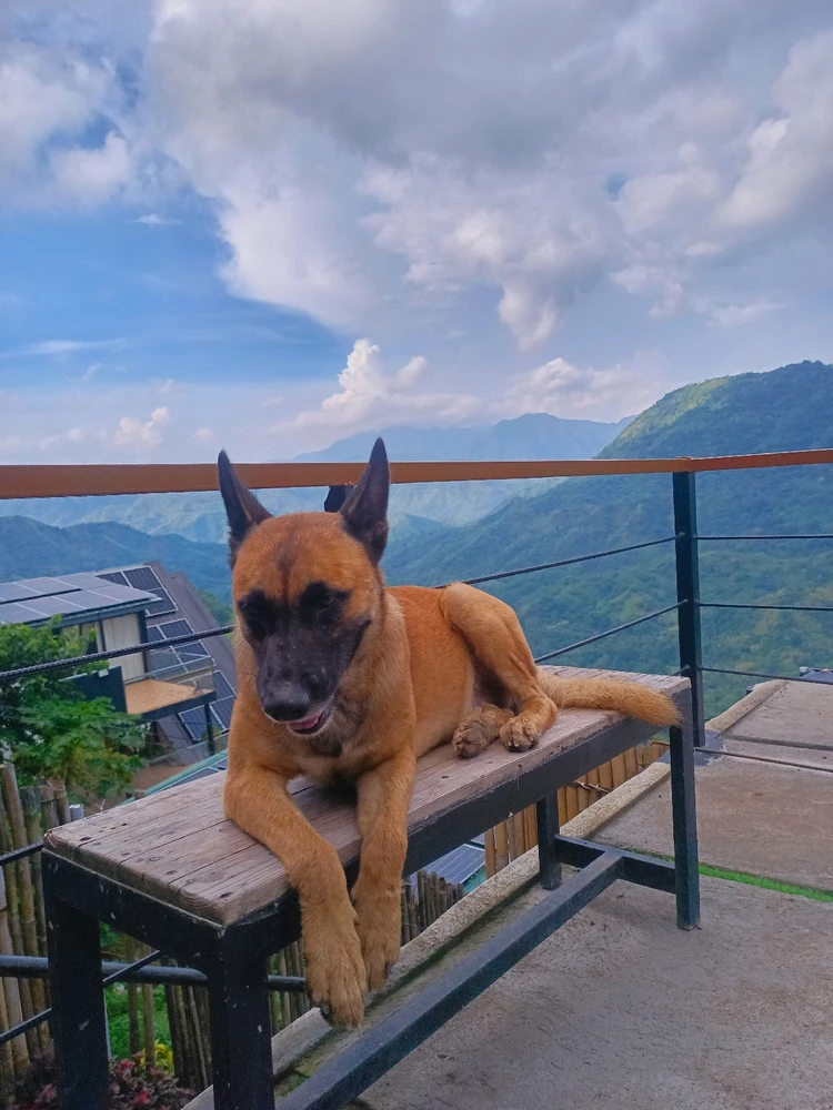 GIF uploaded by Johann