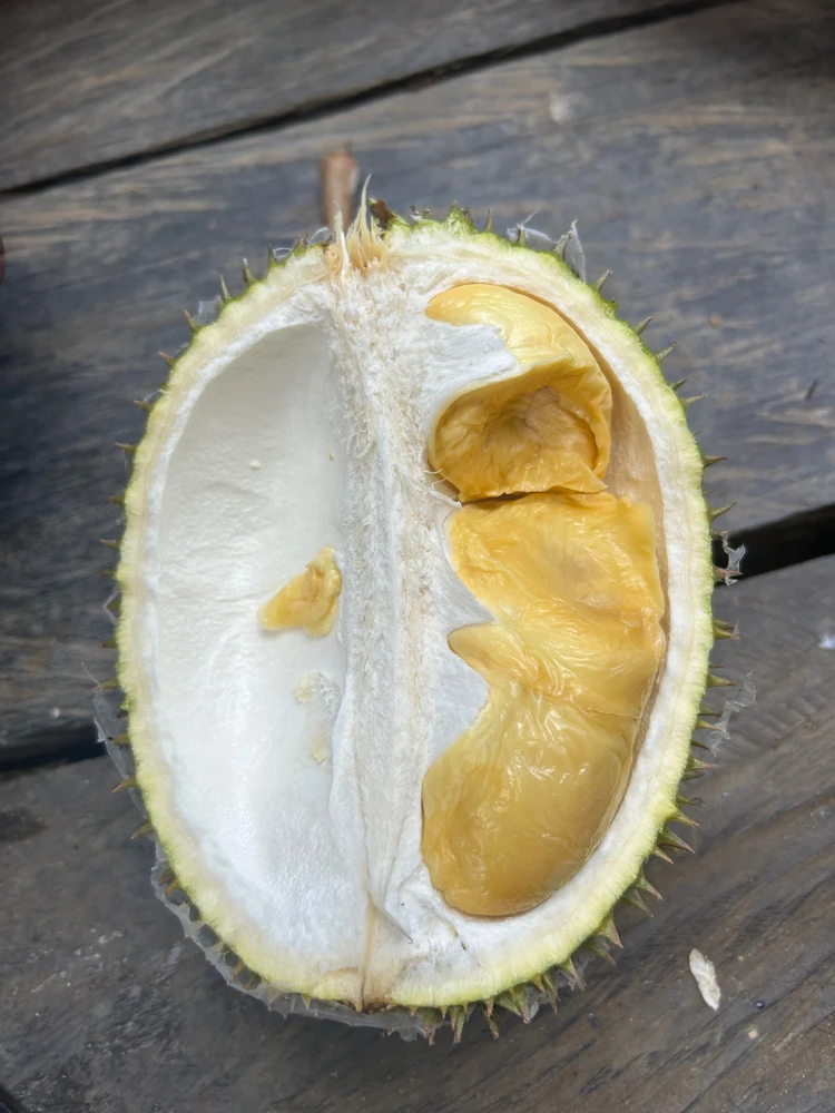 Gambar diunggah oleh otte ella