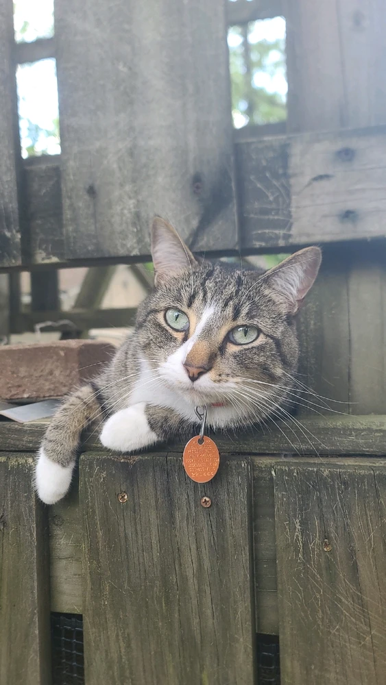 GIF uploaded by Mynx