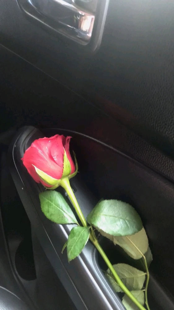 GIF diunggah oleh zhafarina