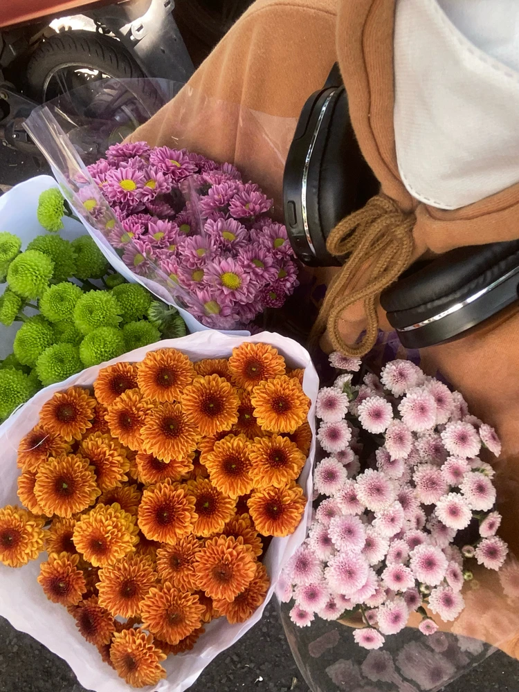 GIF diunggah oleh Dewi Fauziah