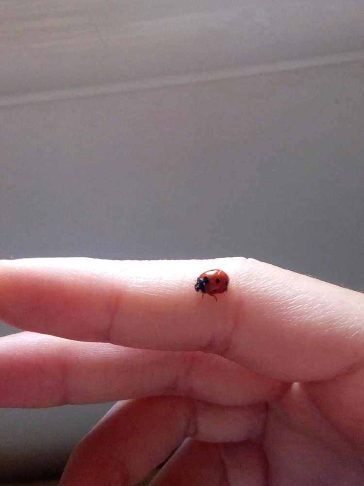 GIF uploaded by Nassim