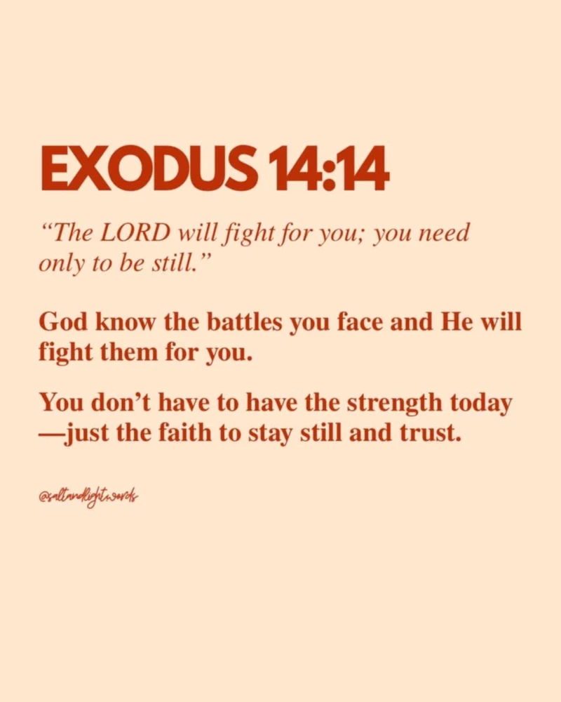 GIF uploaded by Robert Rangel