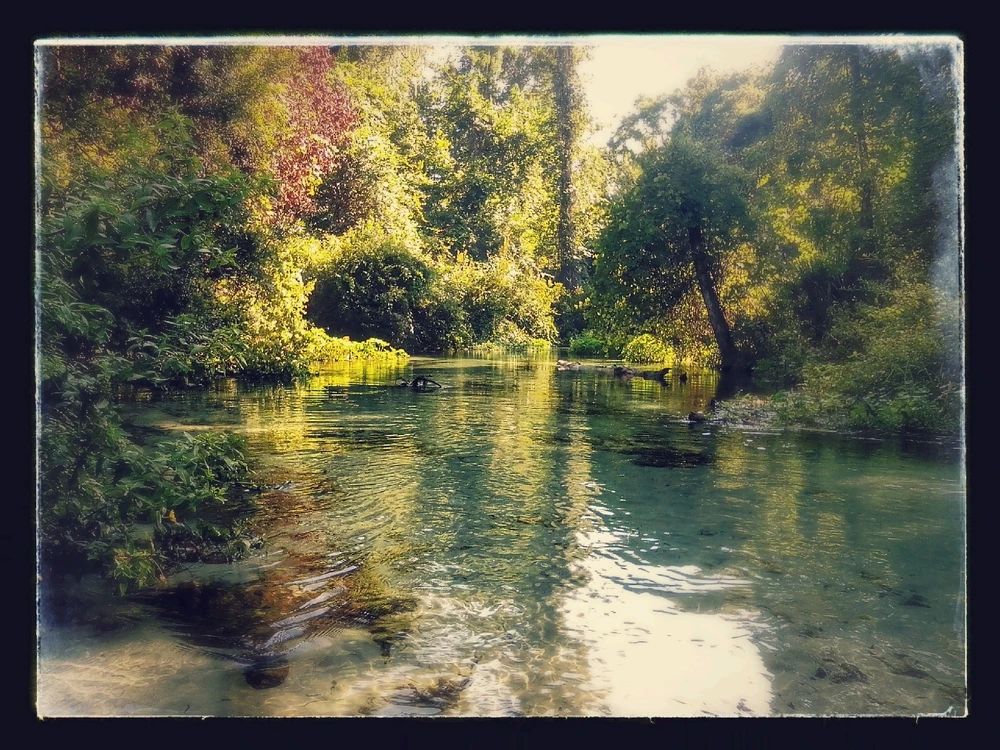 GIF diunggah dening Everette