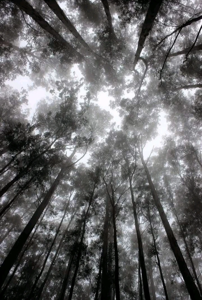 GIF uploaded by Rohit