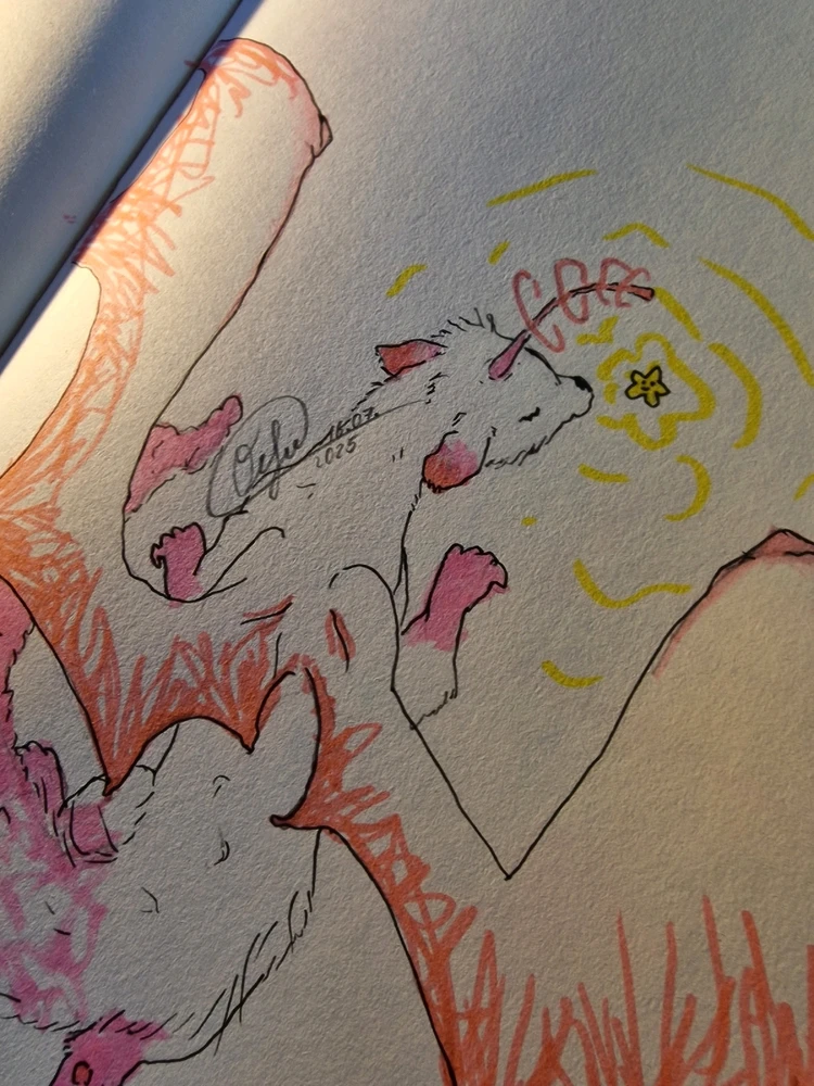 Bild hochgeladen von Ocho