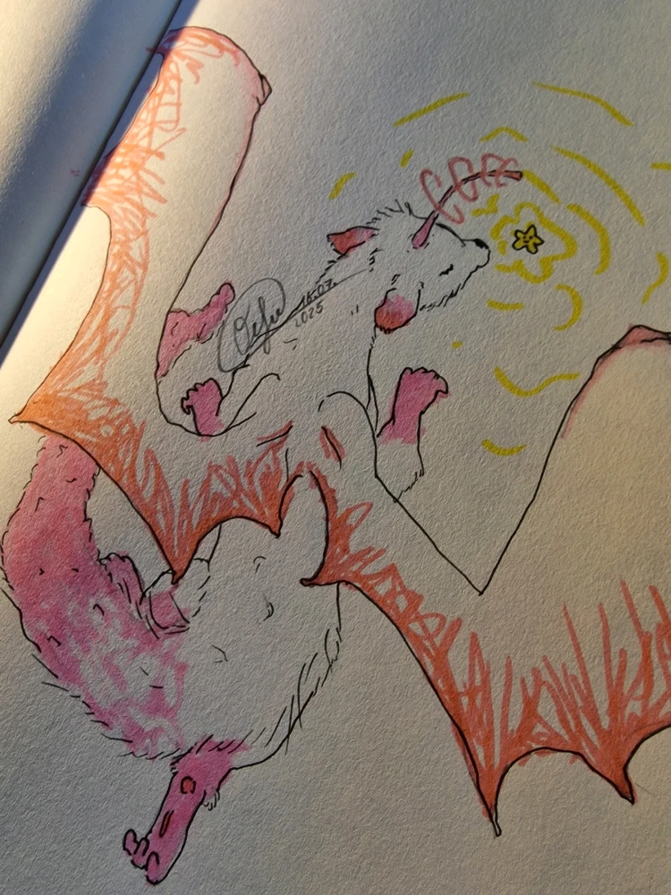 Bild hochgeladen von Ocho