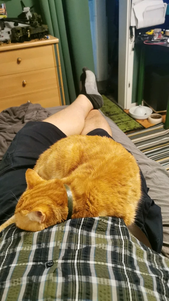 GIF hochgeladen von Kristian