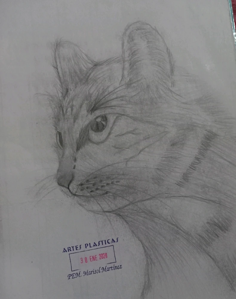 GIF subido por Astrid