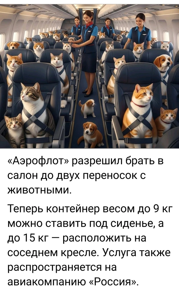 GIF загрузил 𝓐𝓽𝓽𝓮𝓵𝓸𝓲𝓿