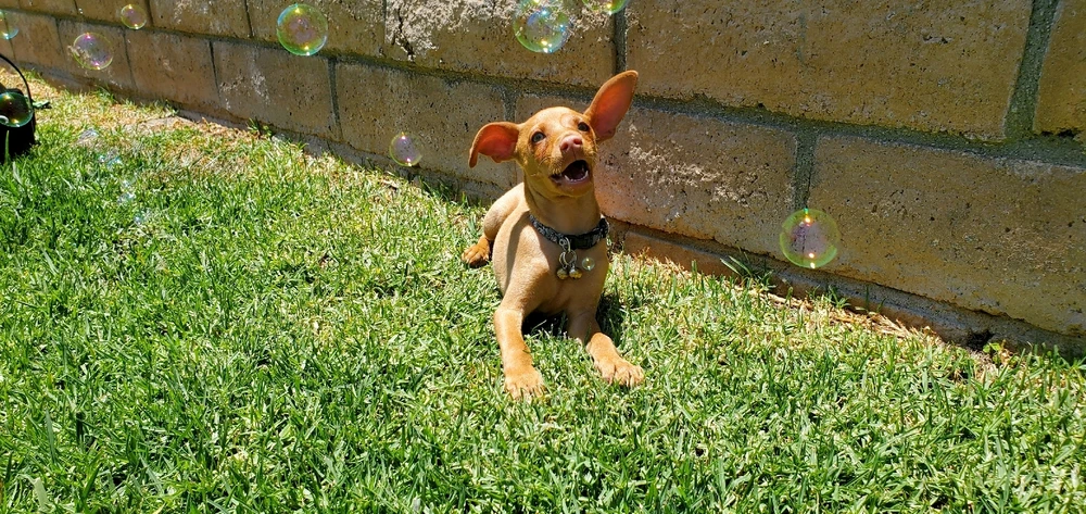 Image uploaded by Alex