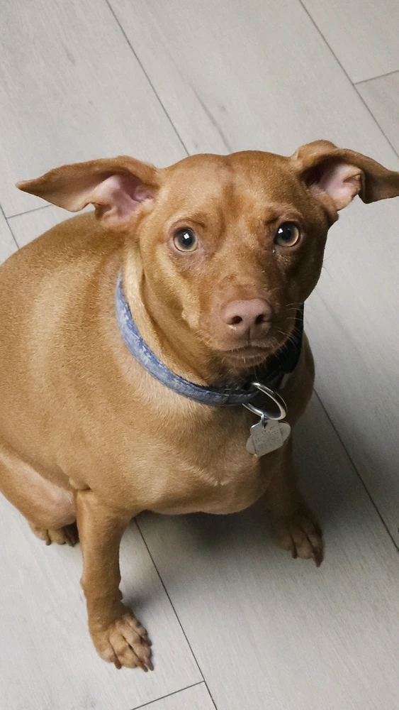 Image uploaded by Alex