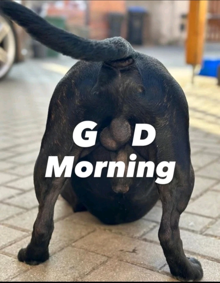 GIF subido por Marcelo