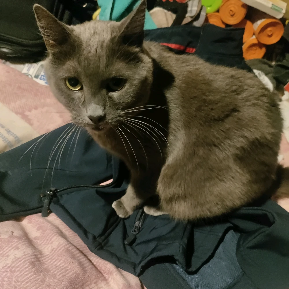 Image uploaded by Sofija