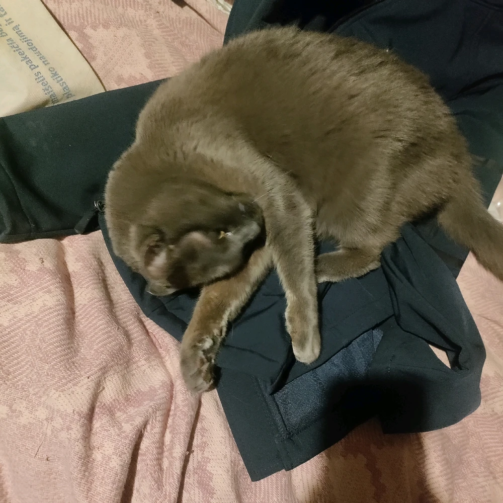 Image uploaded by Sofija