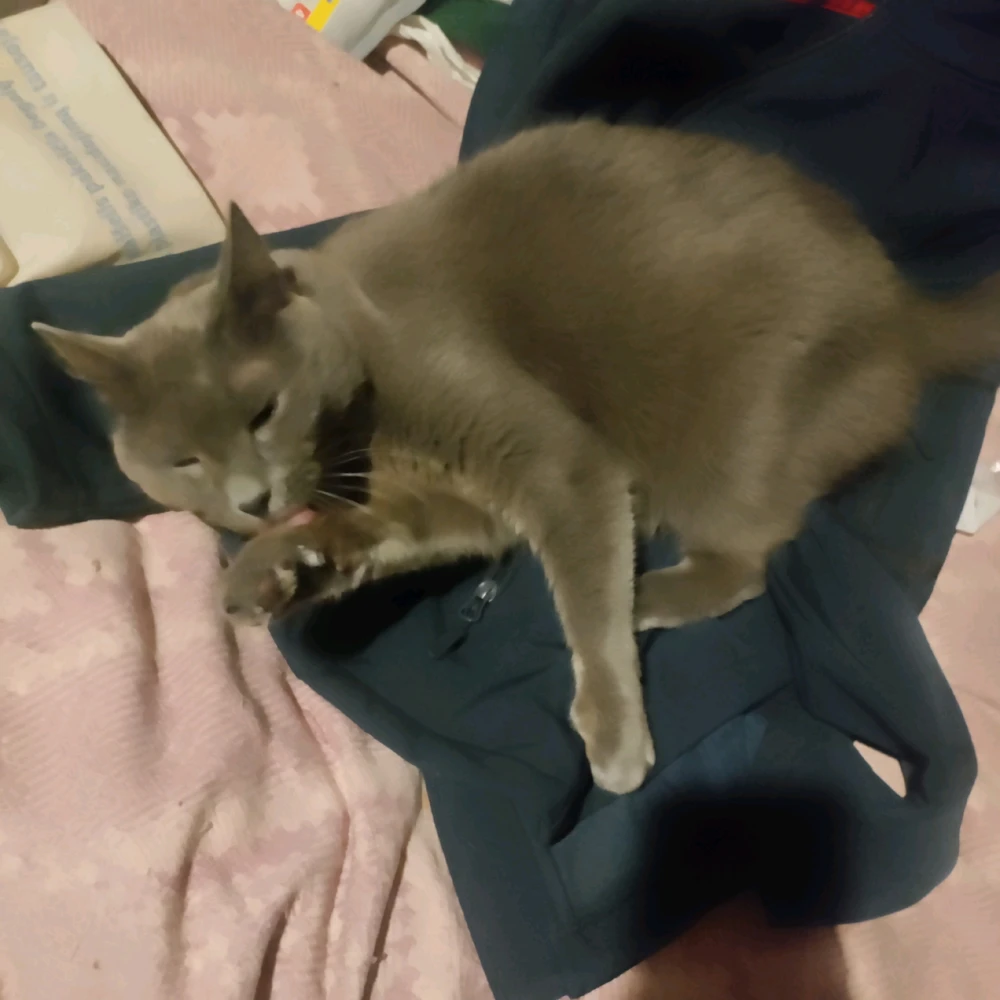 Image uploaded by Sofija