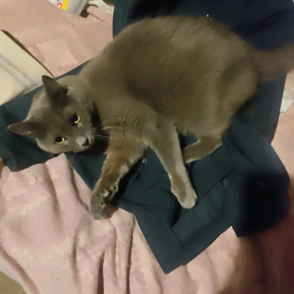 Image uploaded by Sofija