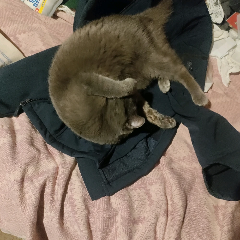 Image uploaded by Sofija