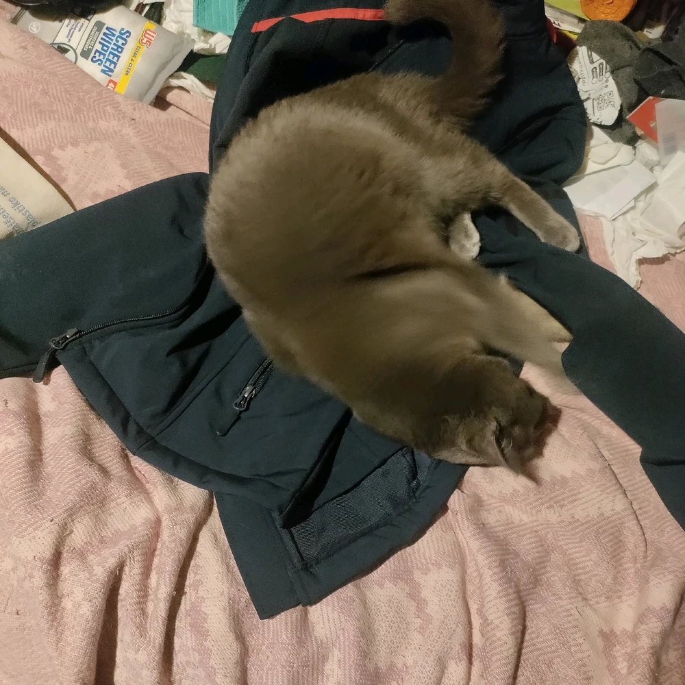 Image uploaded by Sofija