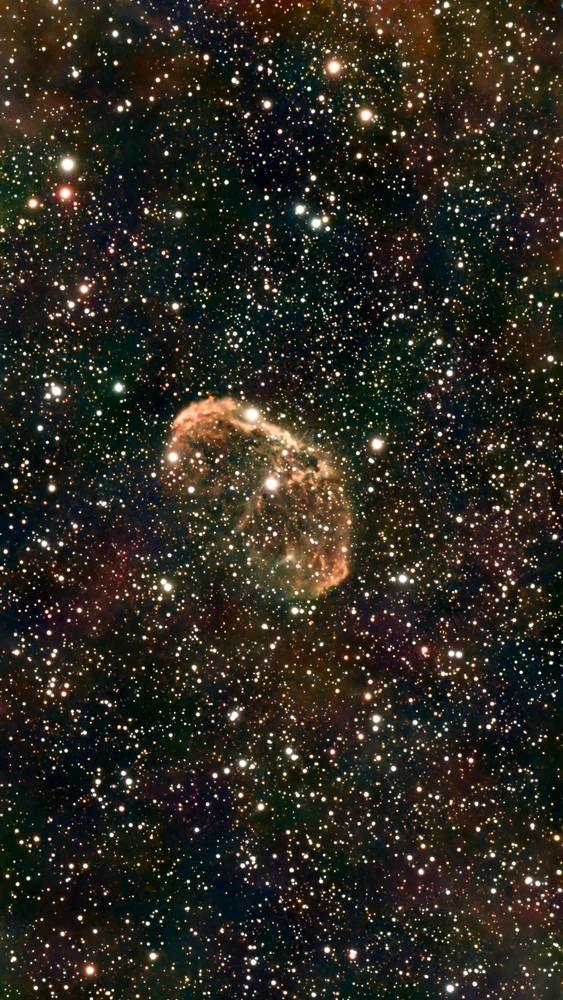 Image uploaded by Chris