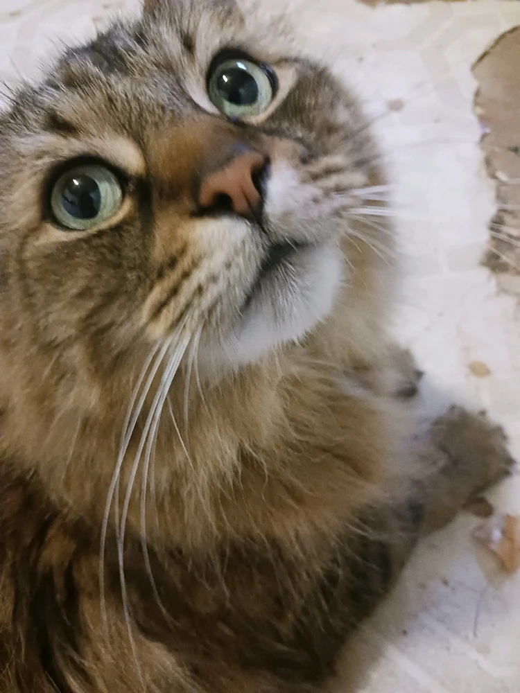 GIF uploaded by Shawn