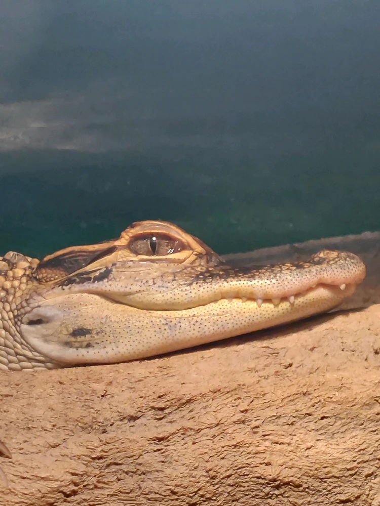 GIF uploaded by Jonathan