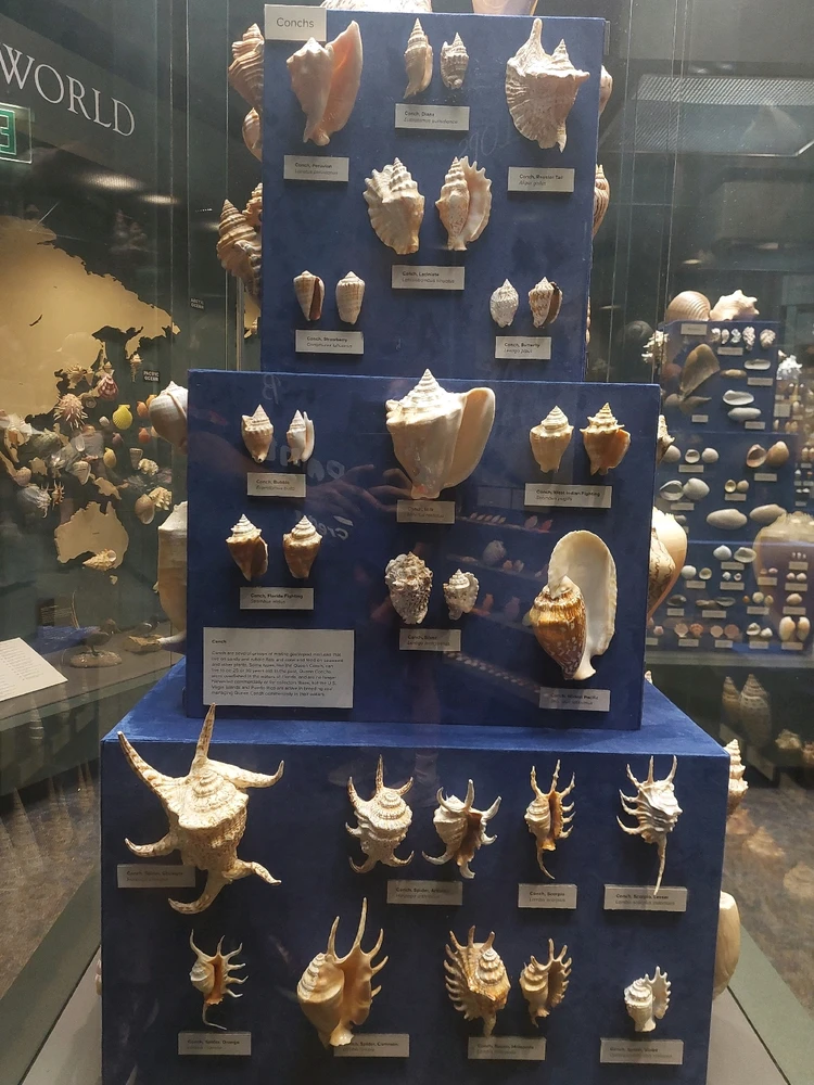 GIF diunggah dening Jonathan