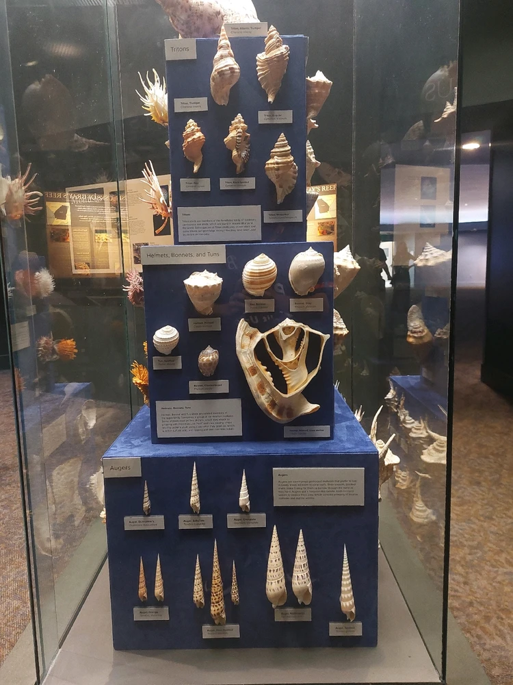 GIF uploaded by Jonathan