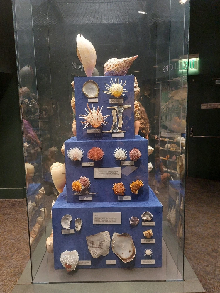 GIF uploaded by Jonathan