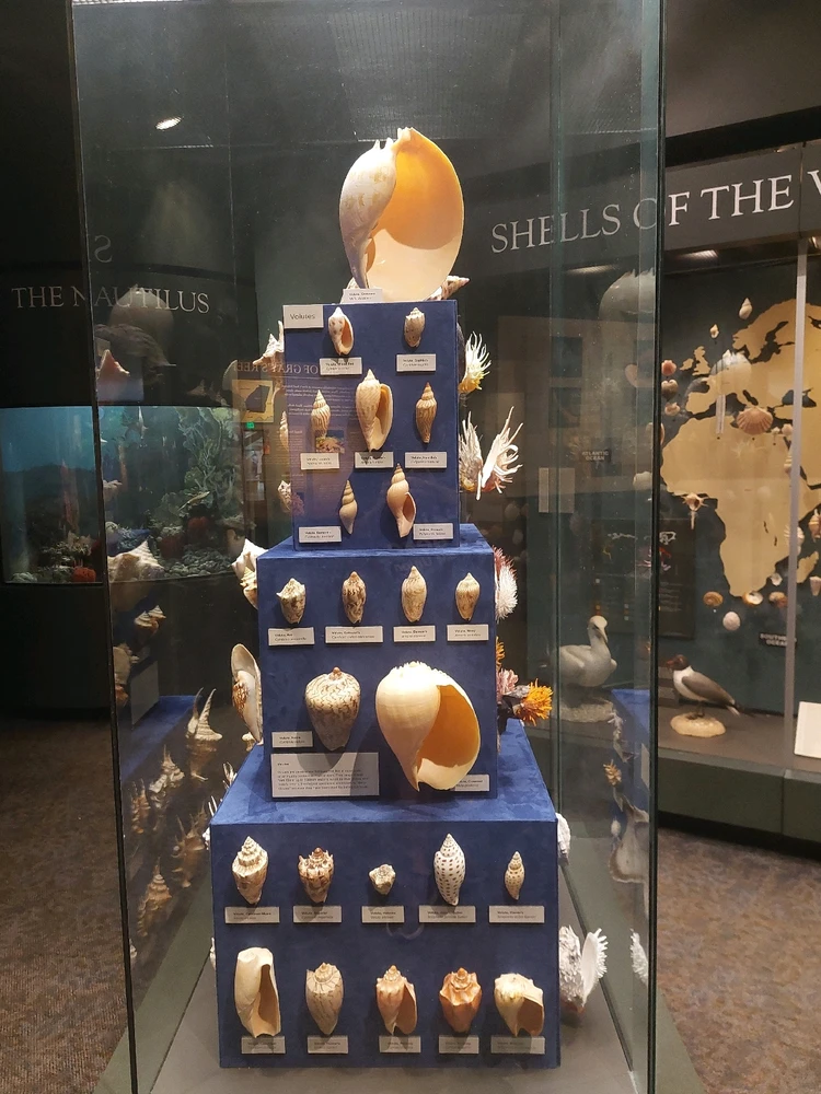 GIF uploaded by Jonathan