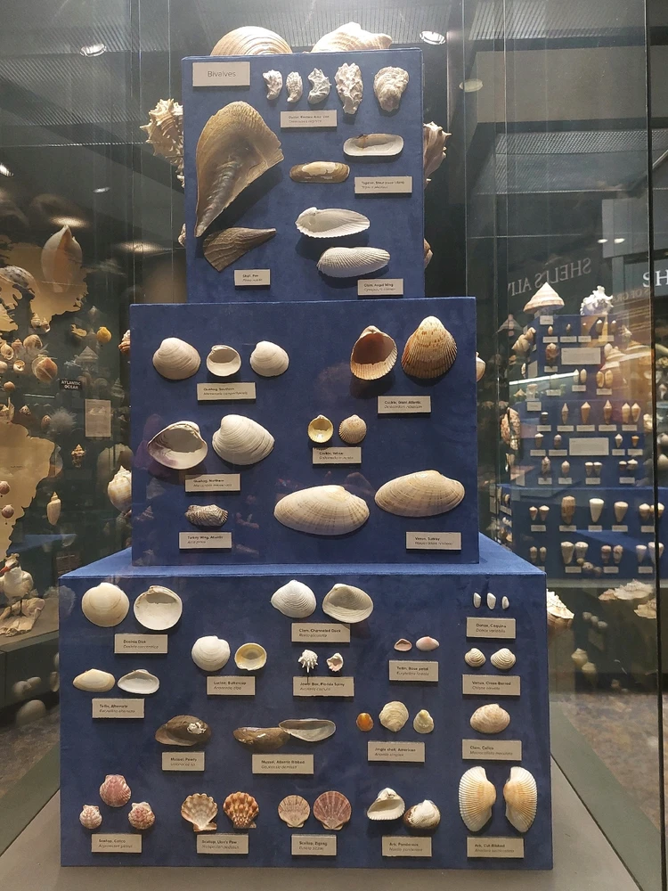 GIF uploaded by Jonathan