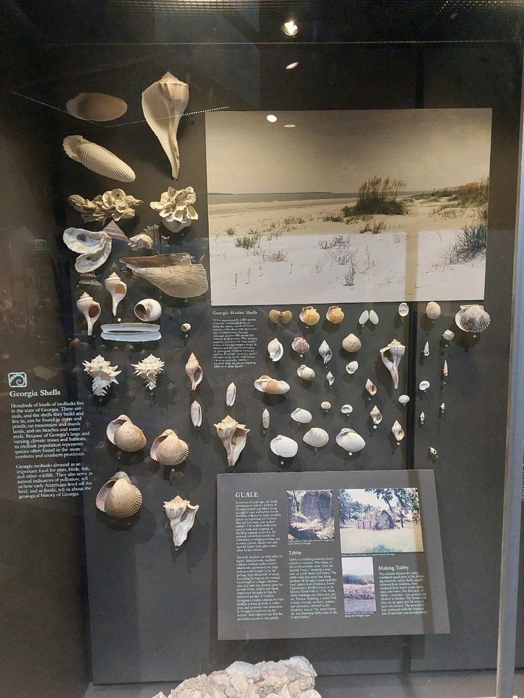 GIF uploaded by Jonathan