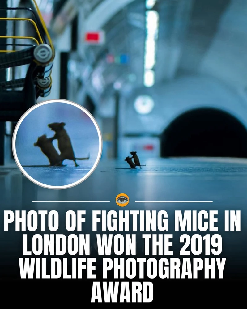 GIF caricata da Chris