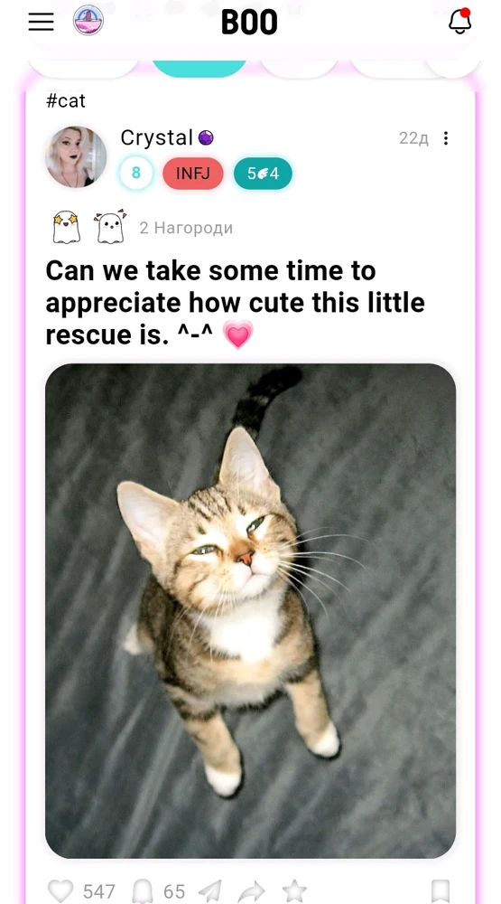 Зображення завантажив Black Mirror (◔‿◔)