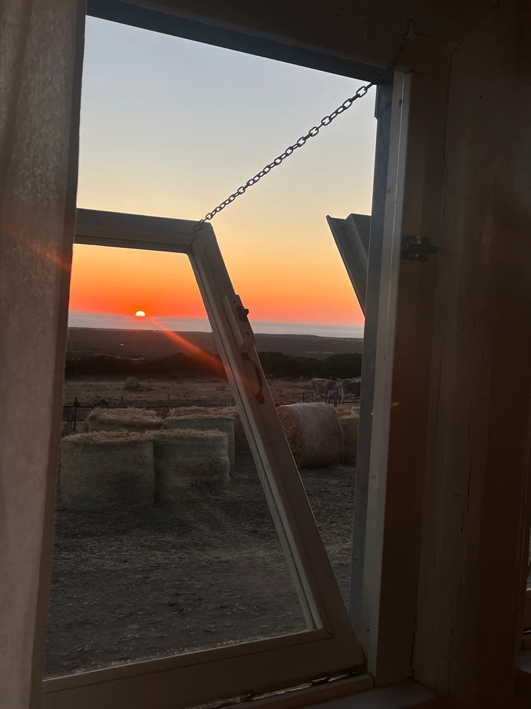 Immagine caricata da Marti