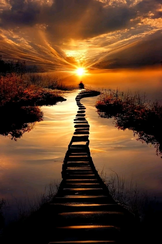 Vers ma lumière 🌅