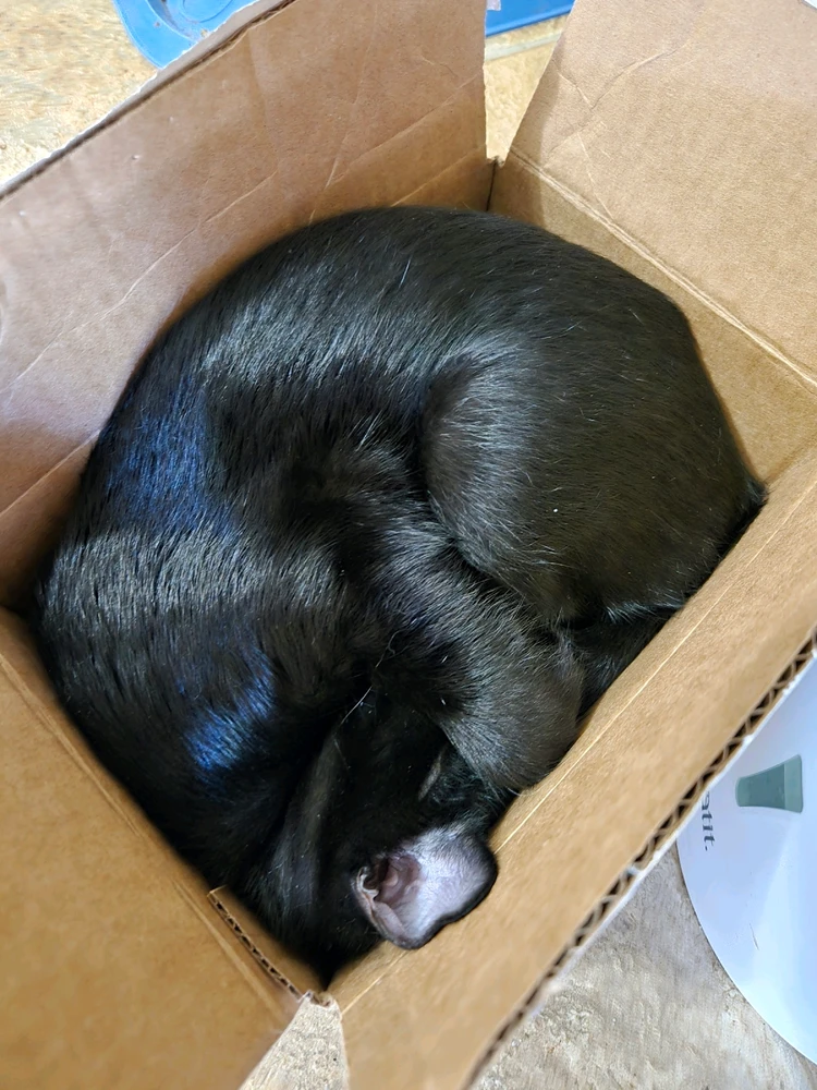 GIF uploaded by Justin