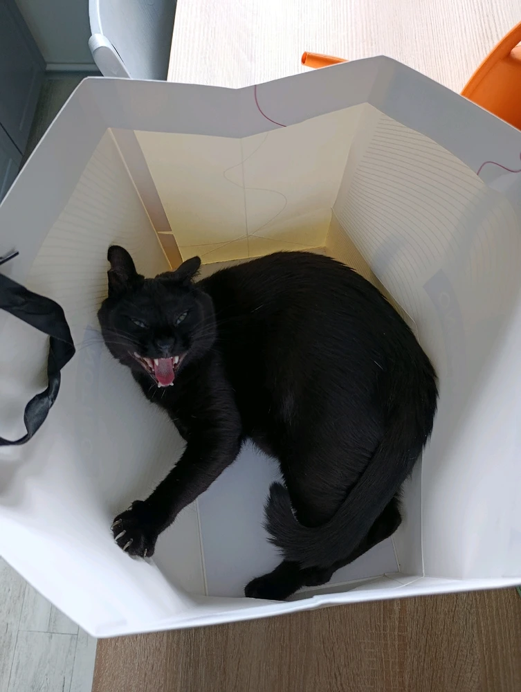 GIF nahrál ⭕⭕ Hlubina