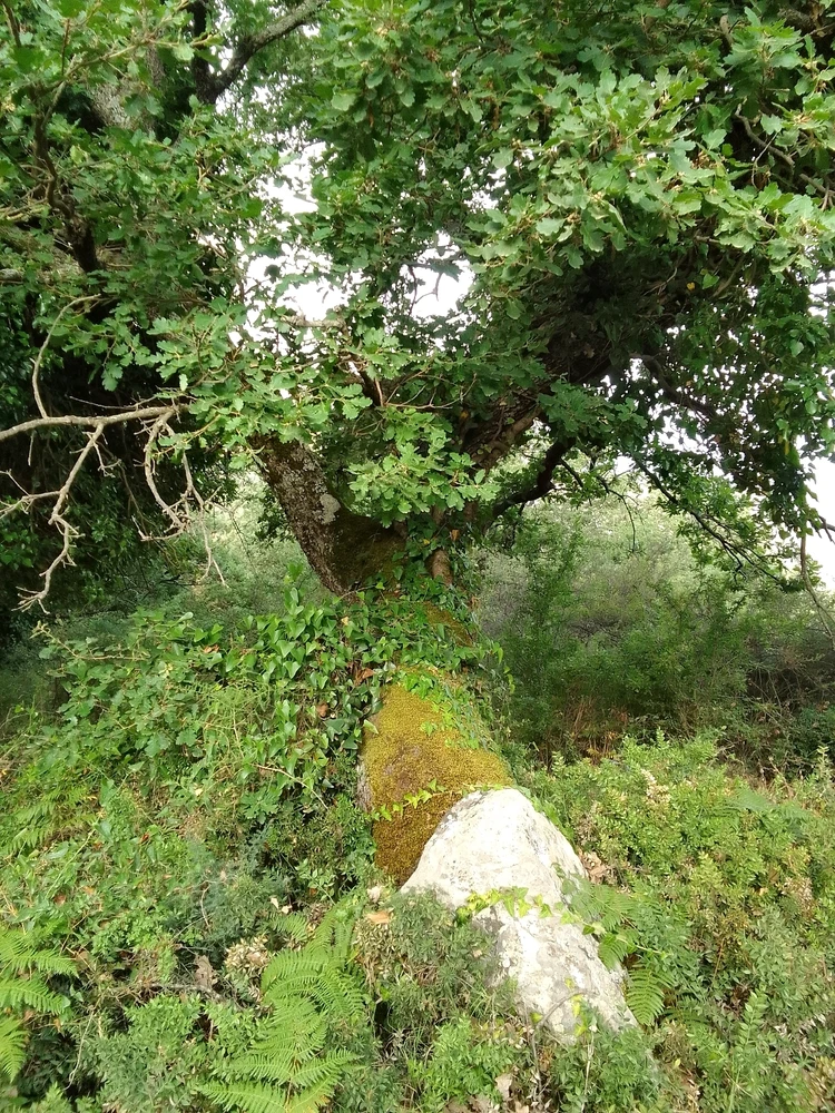 GIF caricata da Fernando