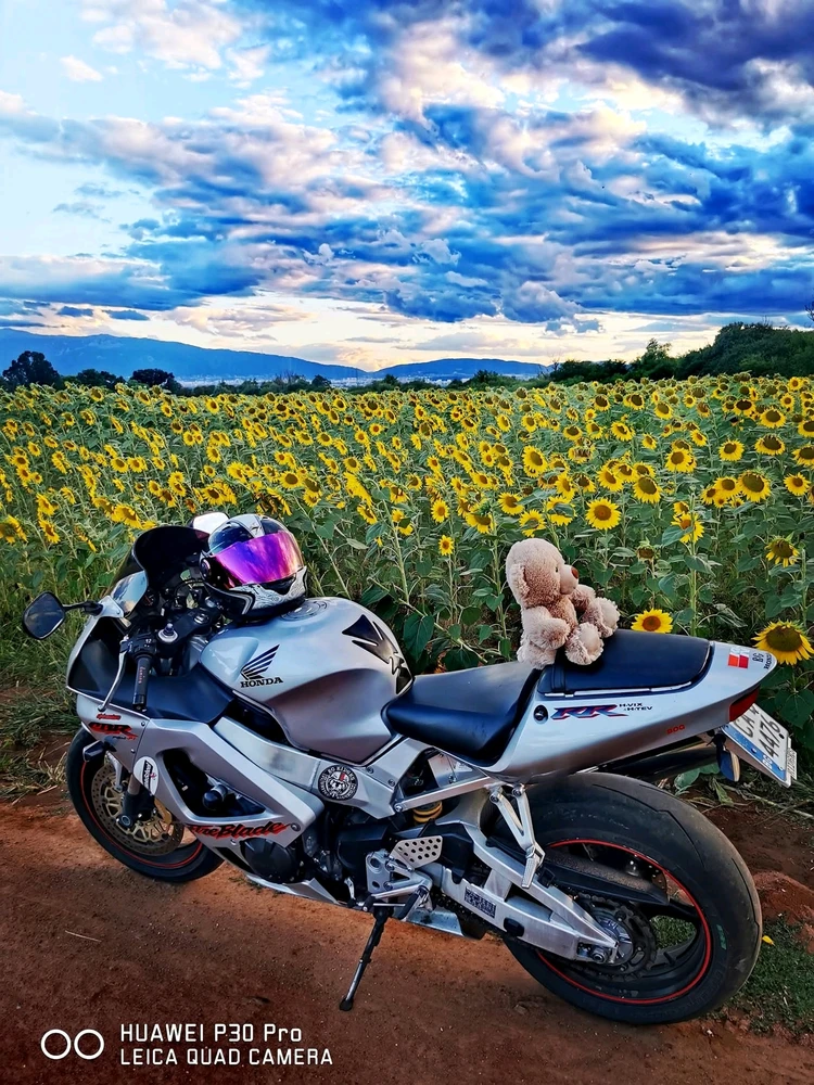 GIF качен от Кирил