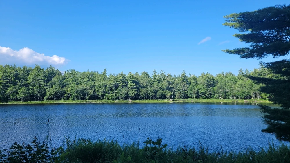 Image uploaded by Logan