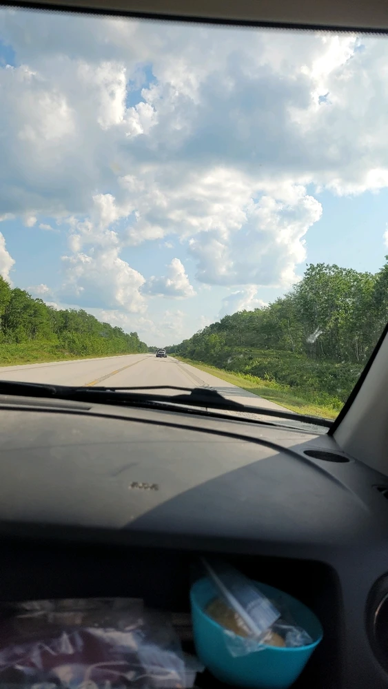 Image uploaded by Logan