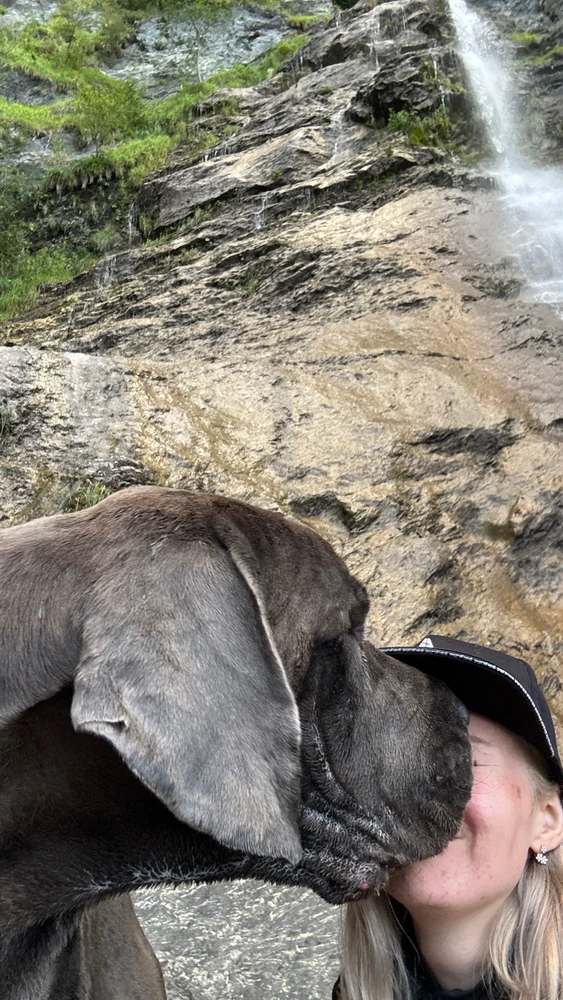 Small trip to the waterfall