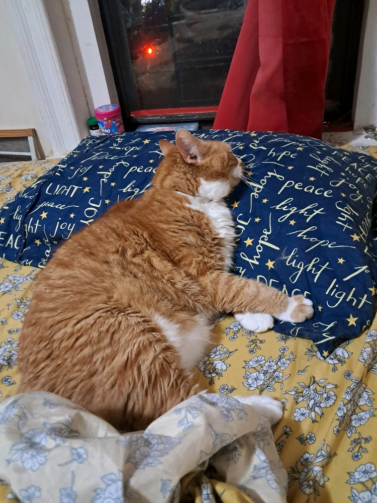 Image uploaded by Rosanna