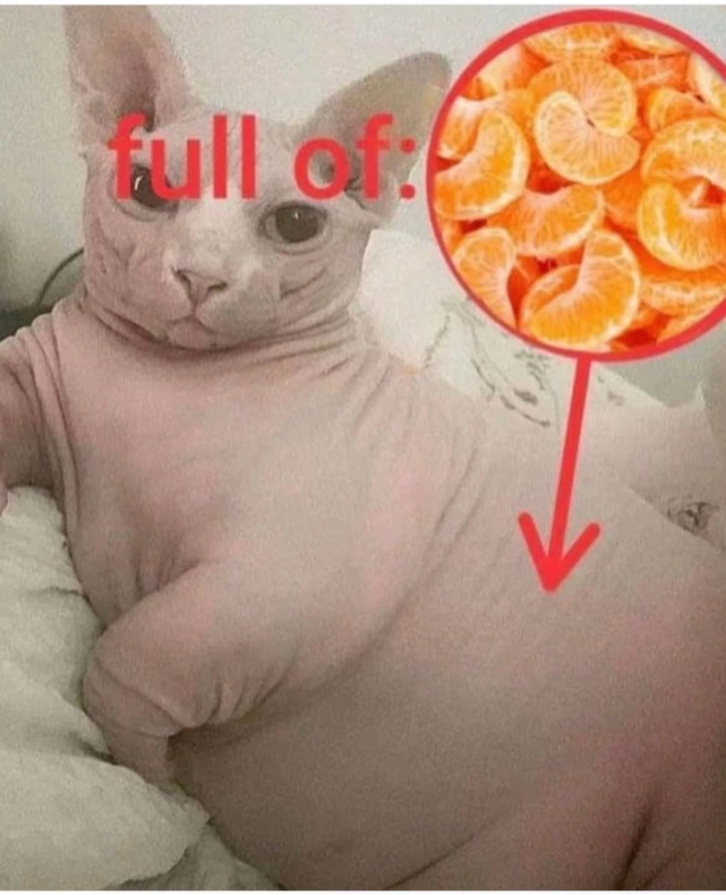 GIF uploaded by Cris-is 🫧✨️