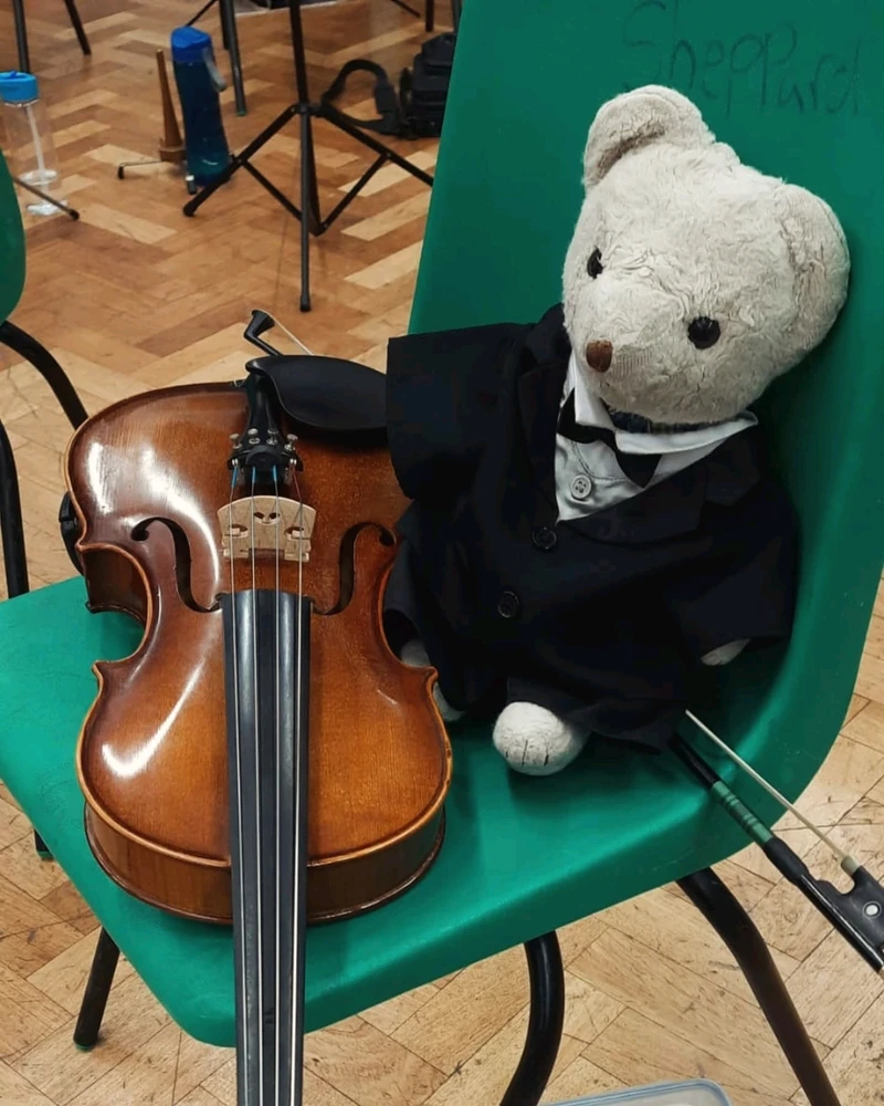 Image uploaded by Liz