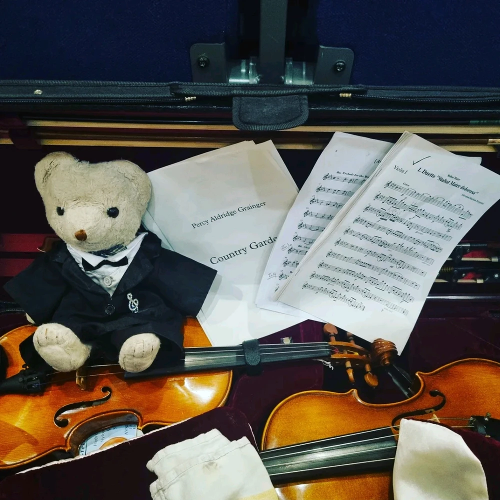 Image uploaded by Liz