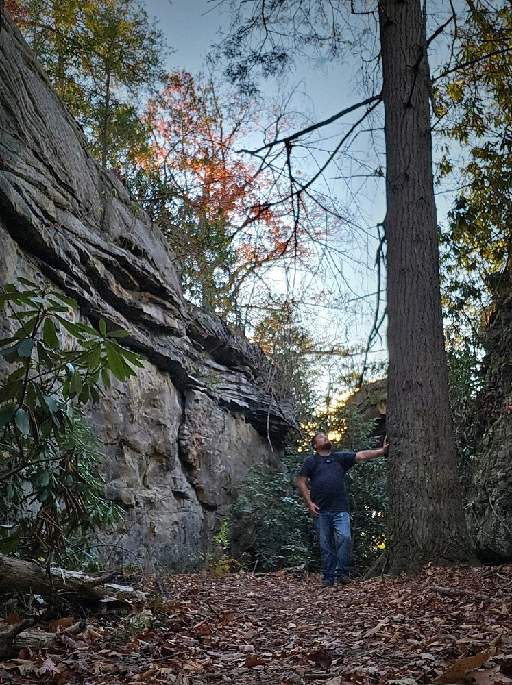 Gambar diunggah dening Anthony